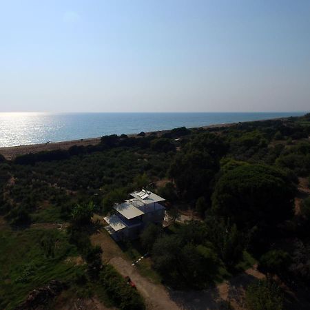 Ferienwohnung Ktima Βilioni Zacharo Exterior foto