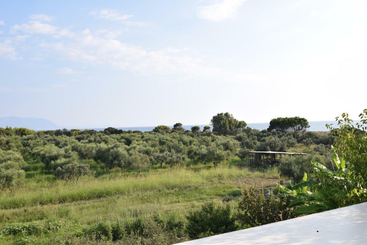 Ferienwohnung Ktima Βilioni Zacharo Exterior foto